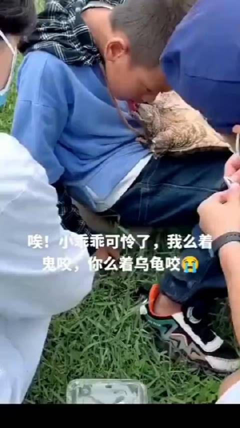 这孩子挺犟的,咬着不放呢!