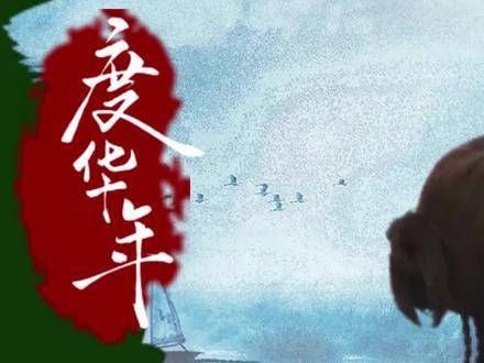 视觉追求者+理智崇拜的梦中情人!
