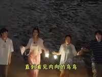 何以桃花坞综艺节目幽默真挚娱乐点评盛宴娱乐