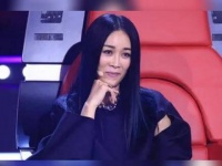 拥有皇家血脉的明星，吴京、那英均属满族正黄旗…