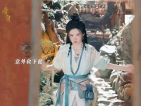 离奇的神医×逃离的天帝，偶然救起伤痕累累的他…