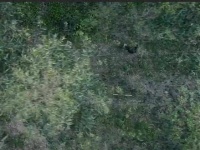 错位启程神秘揭晓 错位究竟谁藏杀机 佟大为