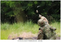 日本自卫队员未按正确步骤投掷手雷被炸死