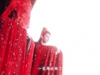 能否请你停步，我决心尝试成为一个更好的人