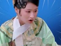 华妃：后宫佳丽只需本宫一人足矣