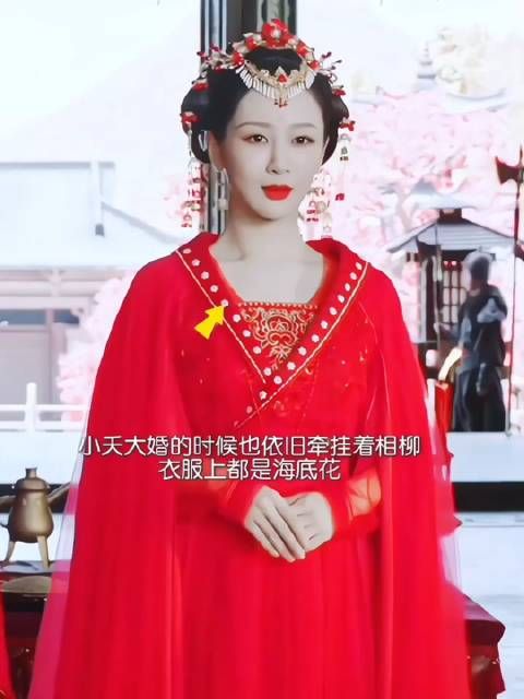 《长相思》之不能理解之谜,小夭到底爱谁?和涂山璟结婚结果相柳要素过多