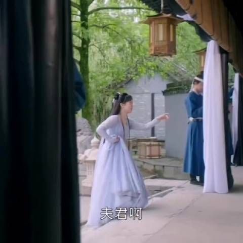 颜淡登场了,真是让人捧腹大笑,最爱看颜淡的表演了