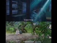 他铭记她说过的每一句话，为她筹备妥当每一件事，这份深情究竟该如何安放啊