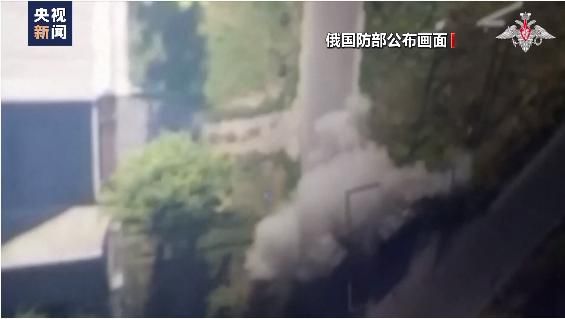 图片来源:视频截图