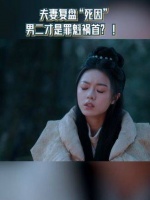 喜欢有嘴的男女主角，通过互相对比细节，就能找出是谁在其中捣乱了