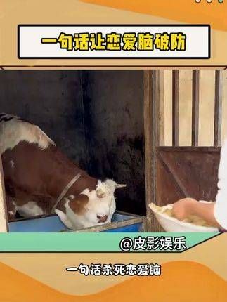恋爱脑清醒了没?要不要再去关注下小英呀?