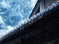 呼唤着‘卫昭哥哥’，请求温柔以待