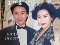 我怎会看不明白呢