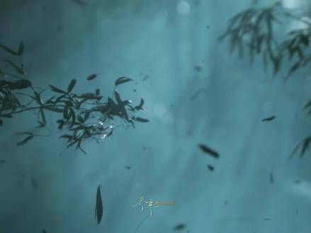 在竹林之中，月光之下传授秘籍