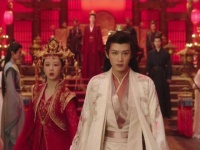 仅期望你能多一份生机?