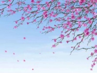 《桃花血》全版由檀健次献声 电视剧《长相思第二季》