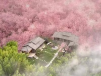 小夭终于明白了父母对她深深的爱？期待已久的认母情节即将上演