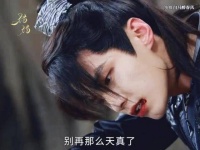 飞升至SI依然守护着玥卿，他也是天外天苦瓜大队的一员…