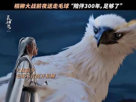 “毛球渴望永远陪伴在主人身旁” 被长相思2深深触动 长相思 檀健次 檀健次