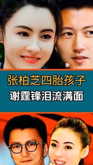 张柏芝第四胎的孩子身份揭晓,这并非谢霆锋的孩子,令他泪流满面?