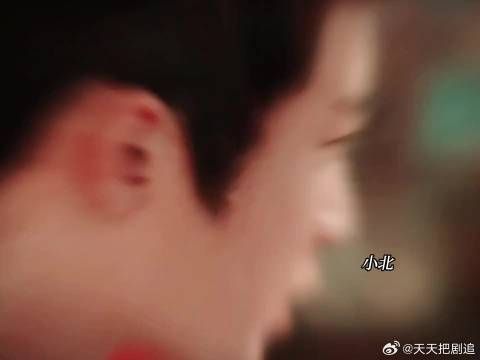 我们不是主仆，是在意对方的家人，从今往后有阿术的地方就有元莫