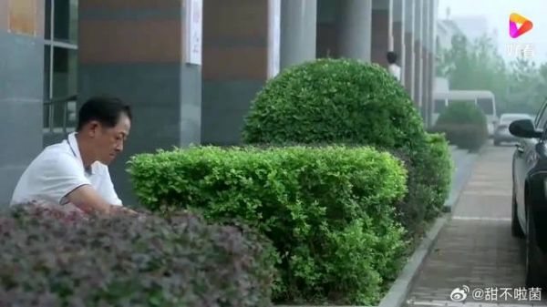 妻子突然同意离婚,不料去到民政局,妻子举动让丈夫惊了