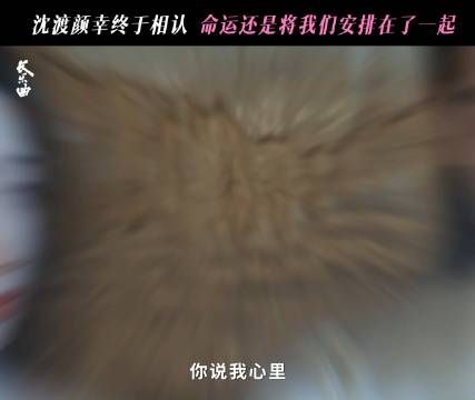 不得不说三沈有幸真的是戳中了我们最柔软的内心!