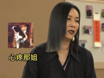 虽然这是综艺剧本，但嘉宾的安全同样重要啊萌探探探案 综艺