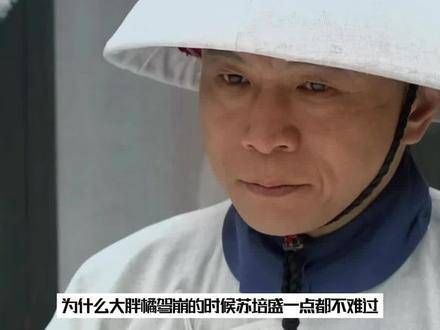 雍正驾崩,苏培盛为何一点也不难过?这样解释就显得合情合理了