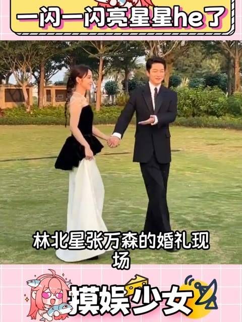 这与参加林北星张万森的婚礼有何不同?一闪一闪亮星星娱你安利