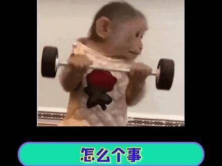 吴希泽:惹到我,你可就麻烦了