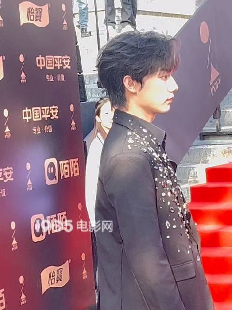第八届平遥电影展开幕红毯,唱作人@TF家族-张子墨 一身黑色亮片西装出席…