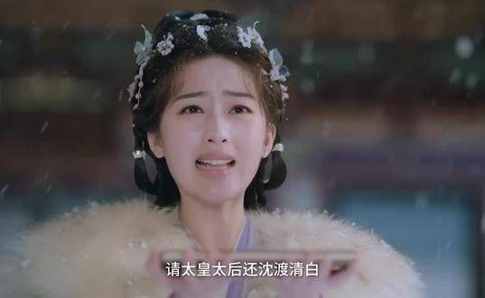 三沈的缘分真是让人心疼又着迷,大雪中为了救他跪了一整夜…