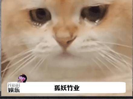 极致的BE真是最伤的狐妖小红娘竹业篇 电视剧狐妖小红娘竹业篇 电视剧