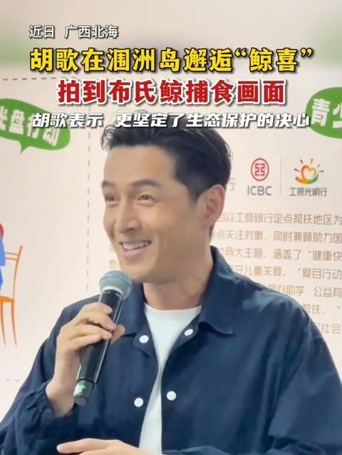 近日,胡歌 在北海涠洲岛 捕捉到布氏鲸 捕食的精彩瞬间!