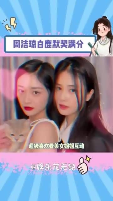 真羡慕这样的神仙友谊