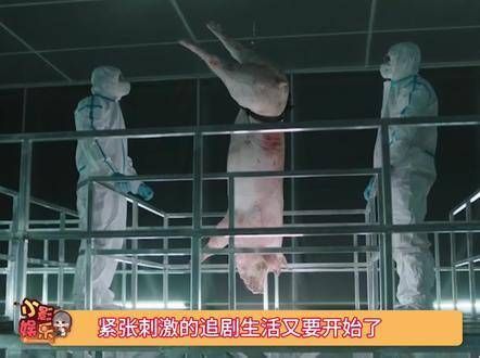《法证先锋6》携离奇案件重磅回归,现已开播!