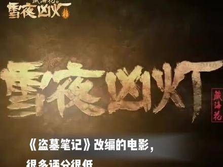 希望这部作品不会让观众失望，张海客