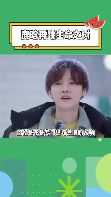 这段回忆真的刺痛了我，原来不只是我一个人无法释怀
