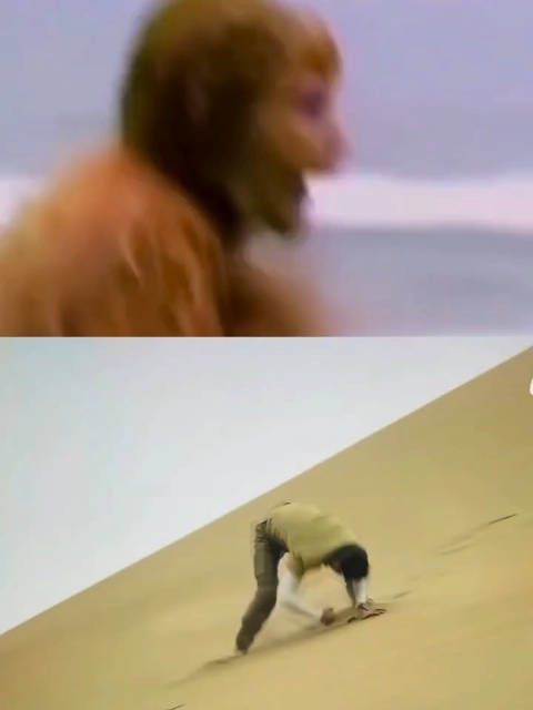 王一博版石猴出世 哈哈哈哈哈,不能说毫无关系,简直一模一样好吧…