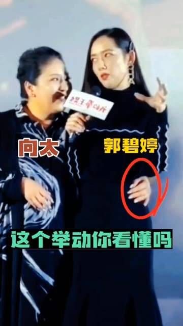 向太陈岚与儿媳郭碧婷同台亮相,陈岚的行为你理解了吗?
