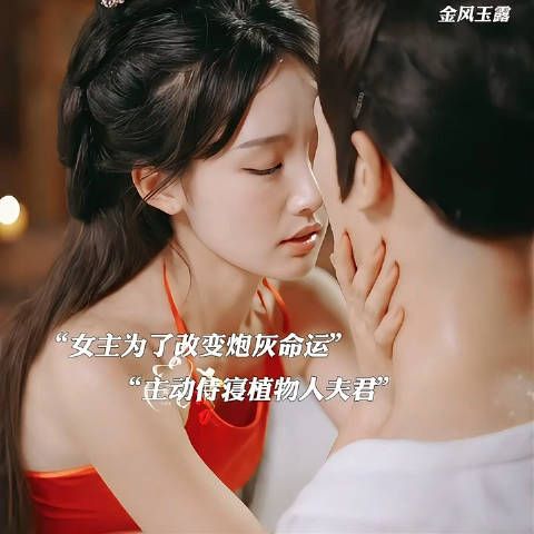 女主穿越到小说中,为了改变炮灰命运,新婚当晚换嫁植物人男主!