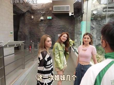 容祖儿真是个自带气氛的高手
