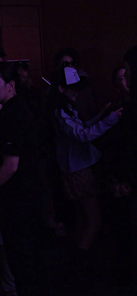 JENNIE权志龙去了今天的2ne1演唱会 是不是除了宝石盒都去了?