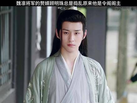 魏凛将军的赘婿顾明珠总是捣蛋,原来他是令阁阁主