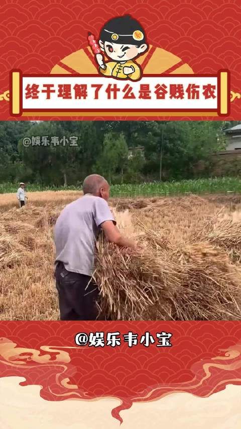 上天给了我怜悯之心，却没有给我解题的能力