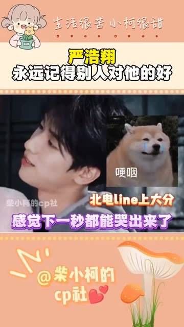 他对你的每一次好都铭记于心 光合计划 严浩翔