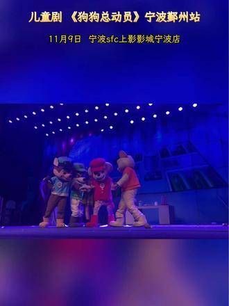 没有难题的工作，只有勇往直前的小狗…