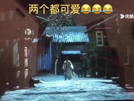 我那连刀都提不起的王爷,?