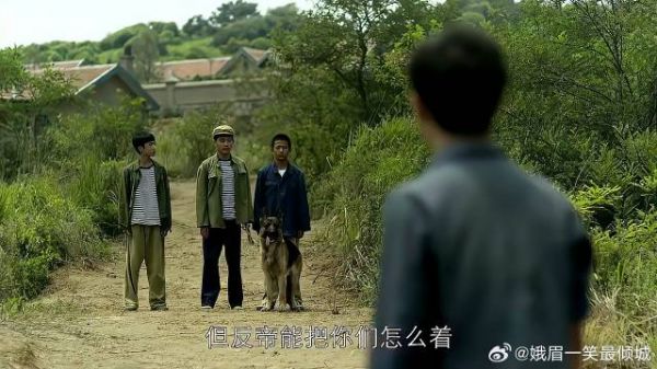 三孩子放狗,竟然把留下的柴火,带回自己家